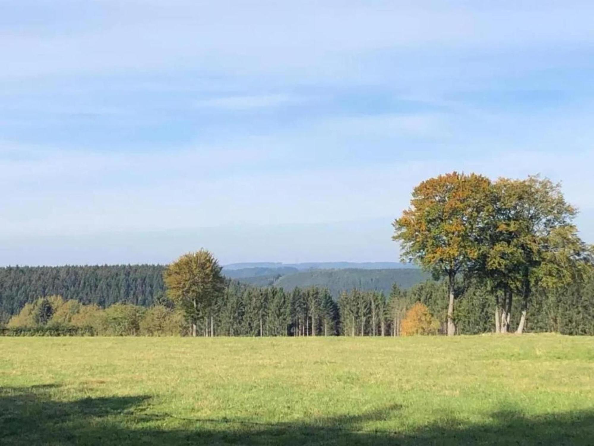 Magnificent Apartment In Willingen With Balcony Eksteriør bilde